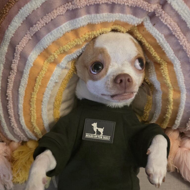 20251107_143203(1)(1)